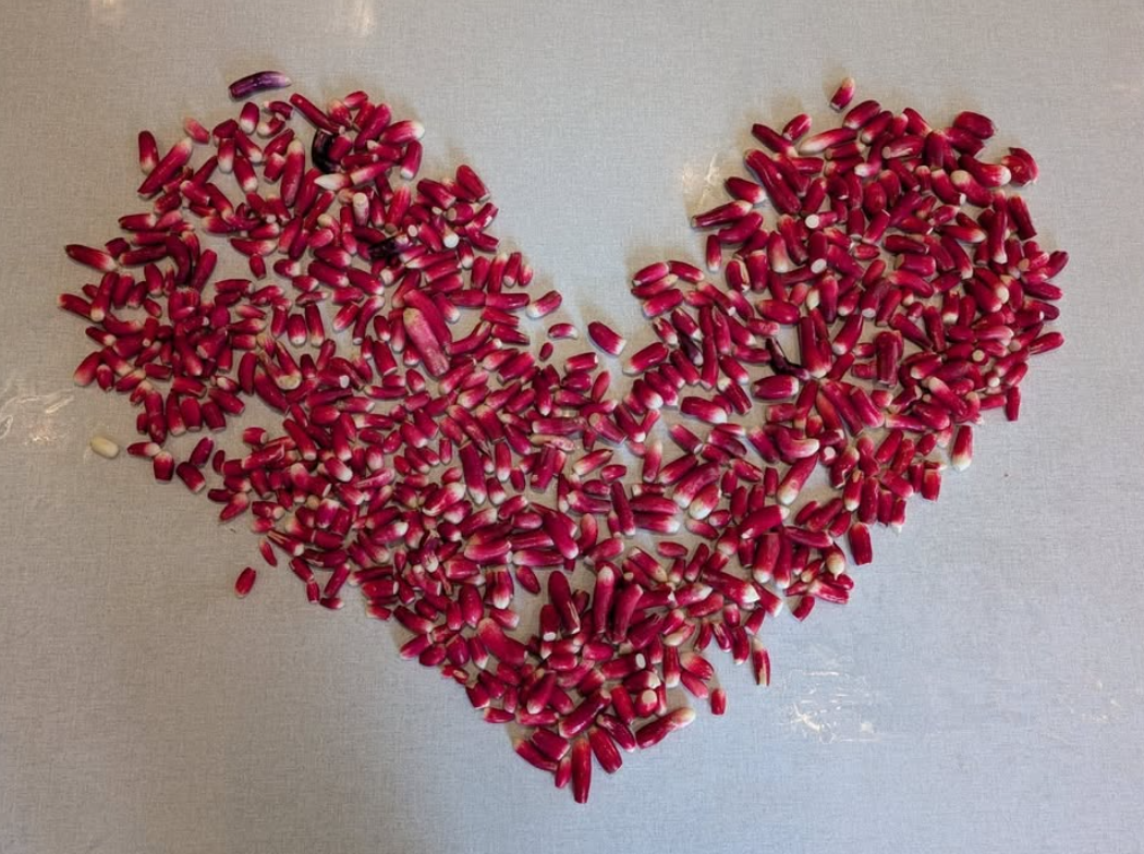 Burðardyggur matur í Føroyum